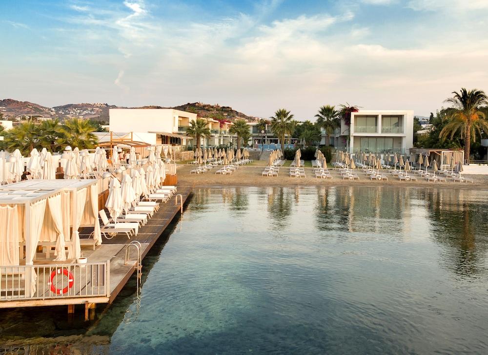 Luga Boutique Hotel&Beach Ortakent Extérieur photo