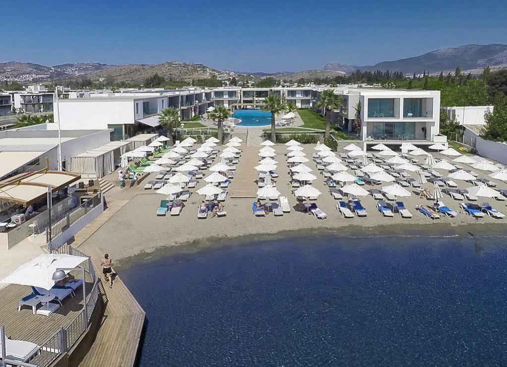 Luga Boutique Hotel&Beach Ortakent Extérieur photo